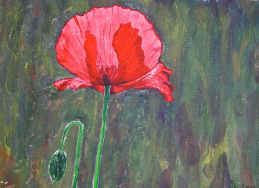 Schliessen von DSC00769n.jpg