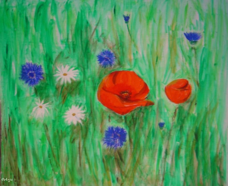 Schliessen von DSC01531n.jpg