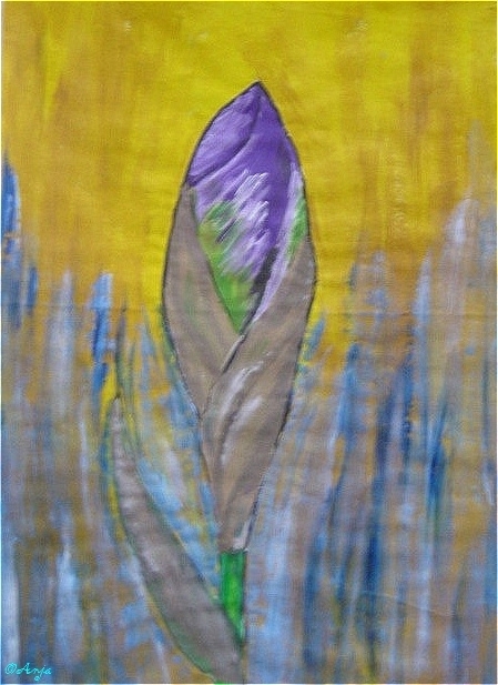 Schliessen von DSC02454.jpg