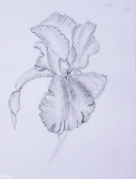 Schliessen von DSC02483.jpg