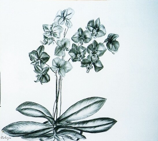 Schliessen von img002.jpg