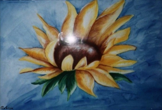 Schliessen von img004.jpg