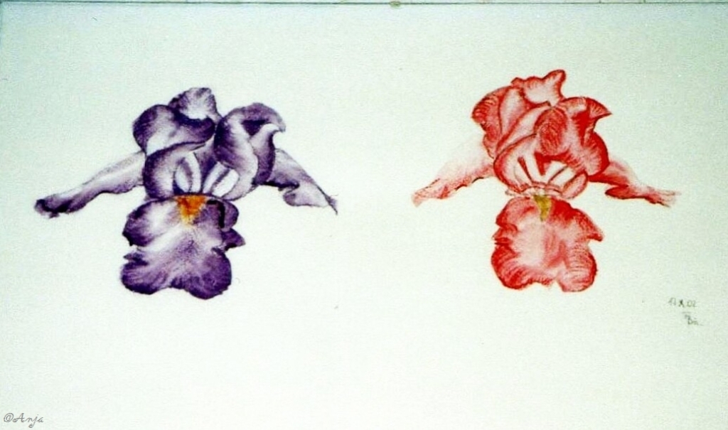 Schliessen von img015.jpg