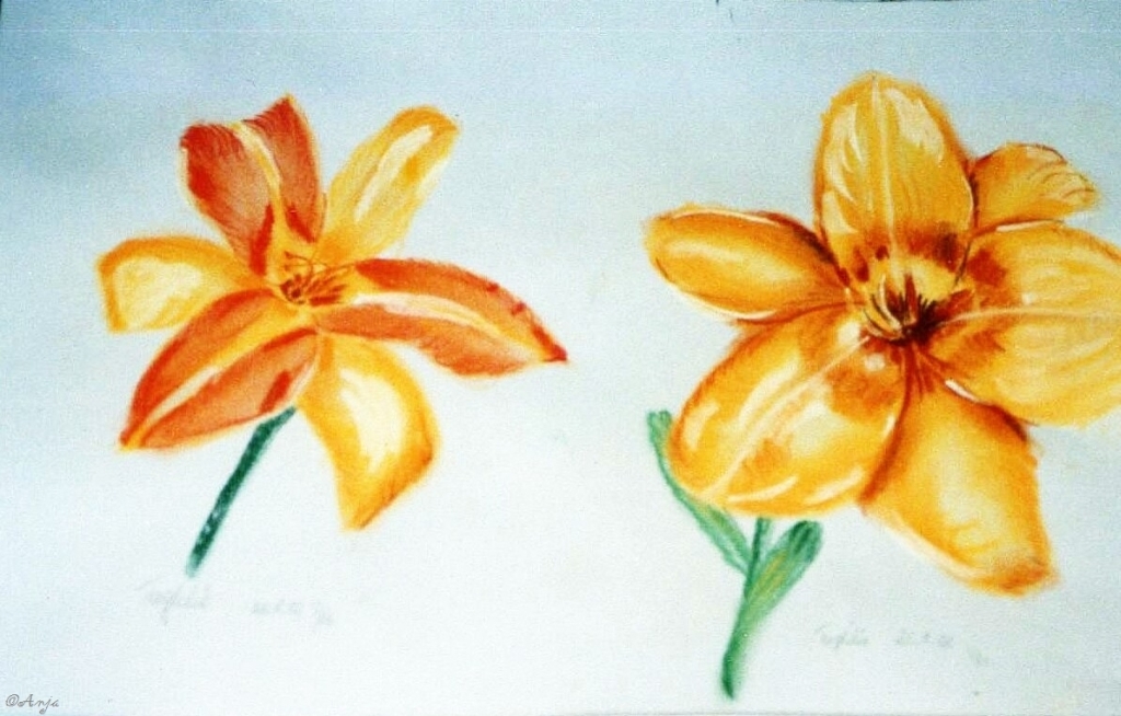 Schliessen von img018.jpg