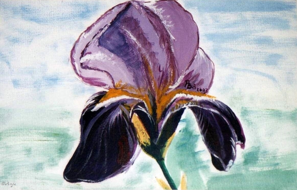 Schliessen von img053.jpg