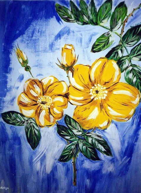 Schliessen von img092n.jpg