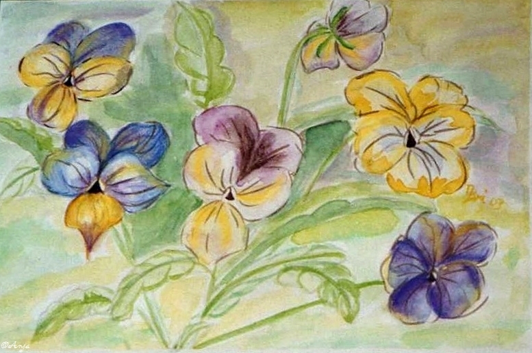 Schliessen von img098.jpg