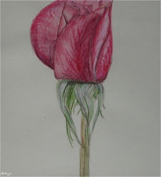 Klick für Originalgröße :DSC00010n.jpg