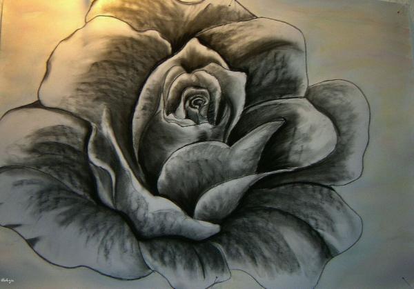 Klick für Originalgröße :DSC00807n.jpg