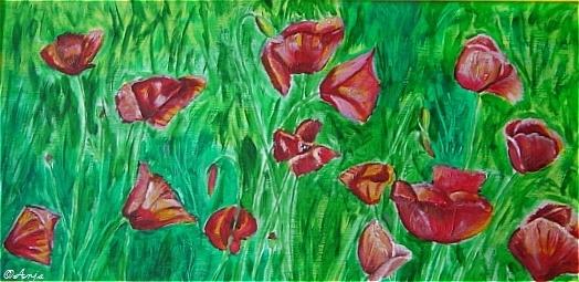 Klick für Originalgröße :DSC02441.jpg