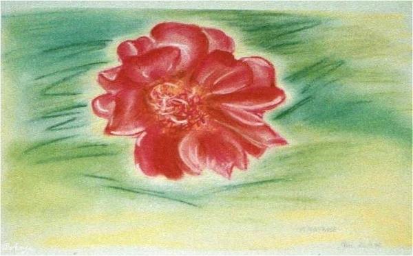 Klick für Originalgröße :img026.jpg