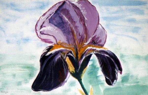 Klick für Originalgröße :img053.jpg