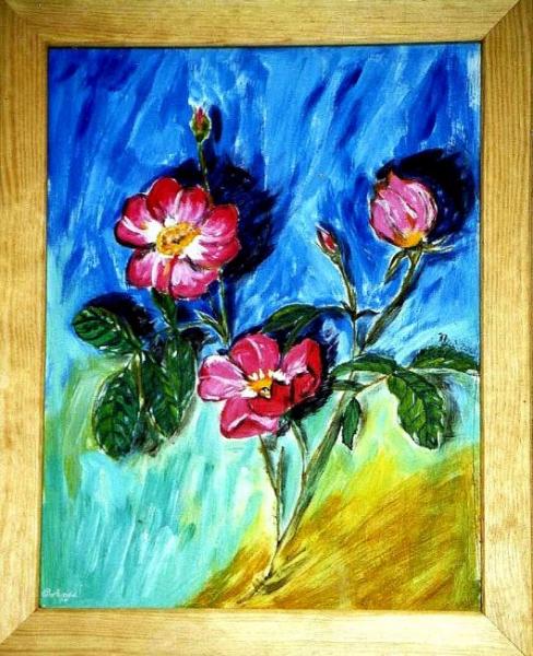 Klick für Originalgröße :img094n.jpg