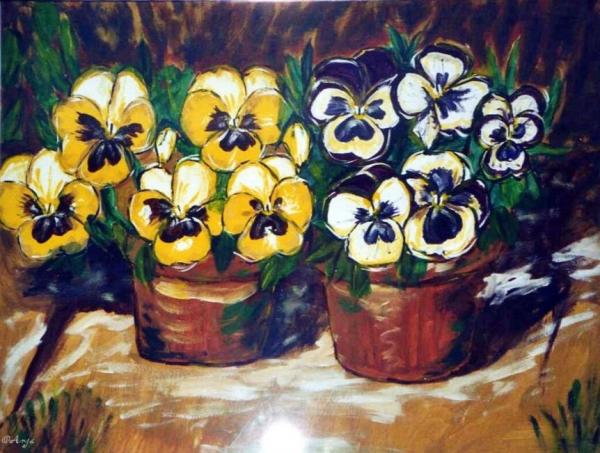 Klick für Originalgröße :img096n.jpg