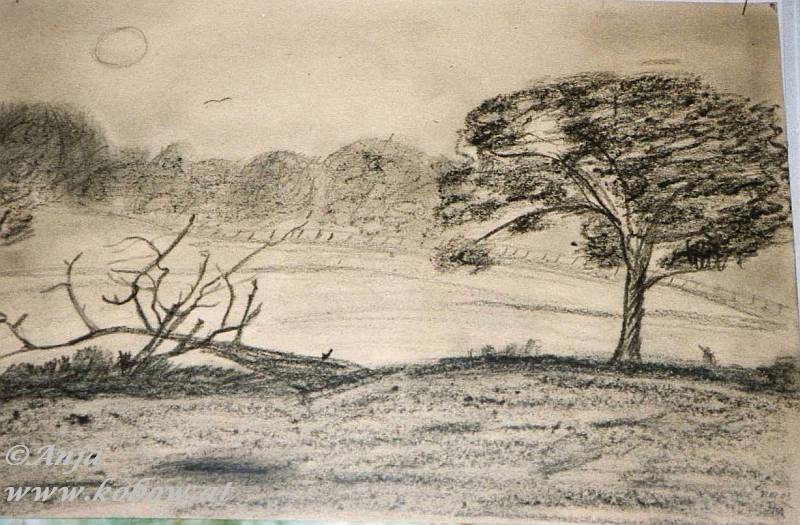 Schliessen von img081a.jpg