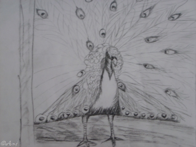 Schliessen von DSC02481c.jpg