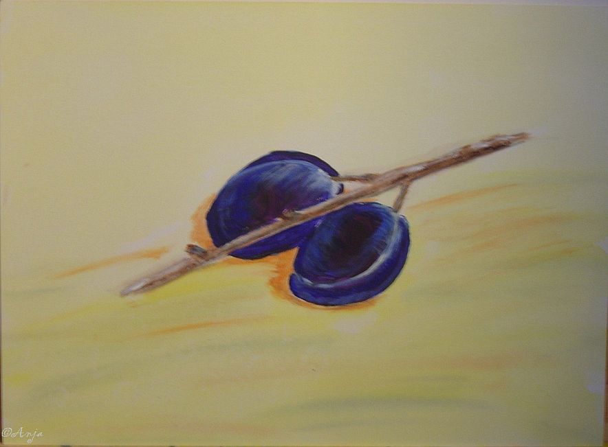 Schliessen von DSC01602.jpg