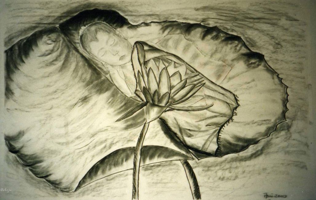 Schliessen von img010c.jpg