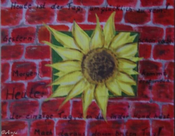 Klick für Originalgröße :DSC02465.jpg