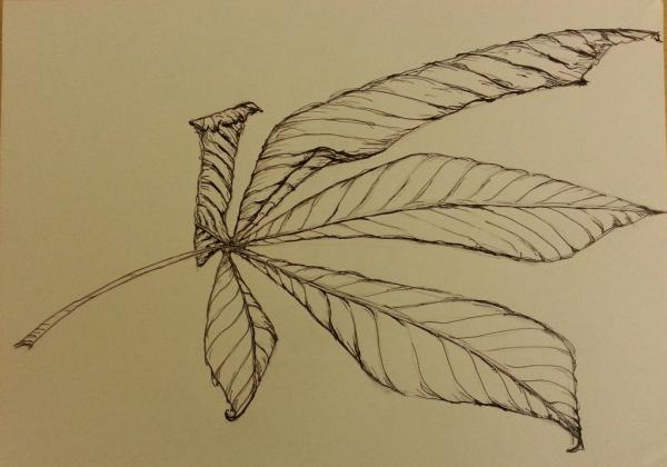 Klick für Originalgröße :002_2014-03-1721.35.jpg