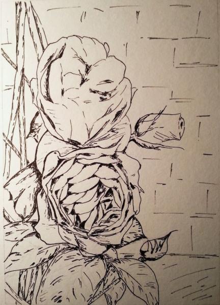 Klick für Originalgröße :004_2016-01-1623.16.15_b.jpg