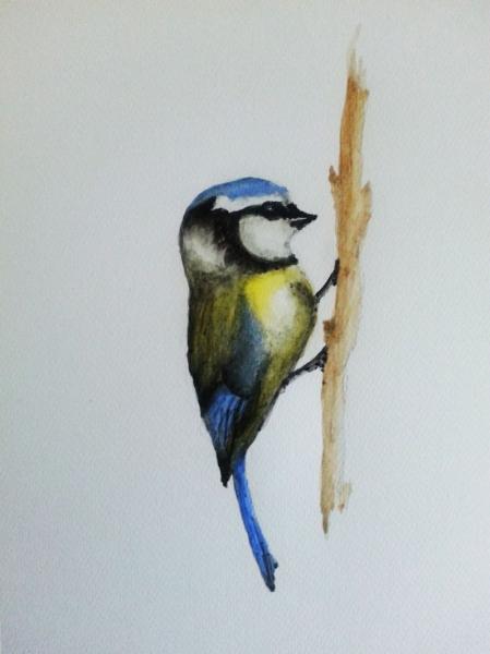 Klick für Originalgröße :004_2018-03-1817.03.48_b.jpg