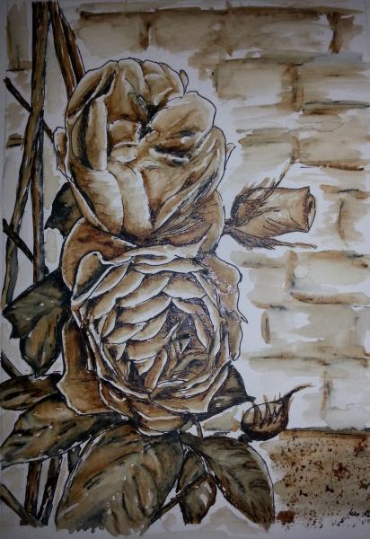 Klick für Originalgröße :011_2016-01-2316.01.jpg